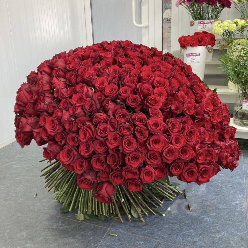 Букеты из красных роз 80 см (Эквадор) код товара  184224