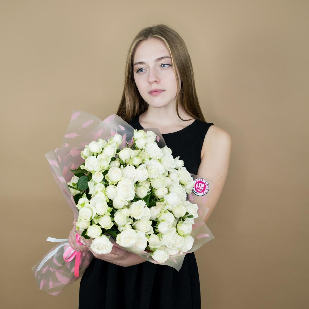 Розы кустовые белые №: 3648