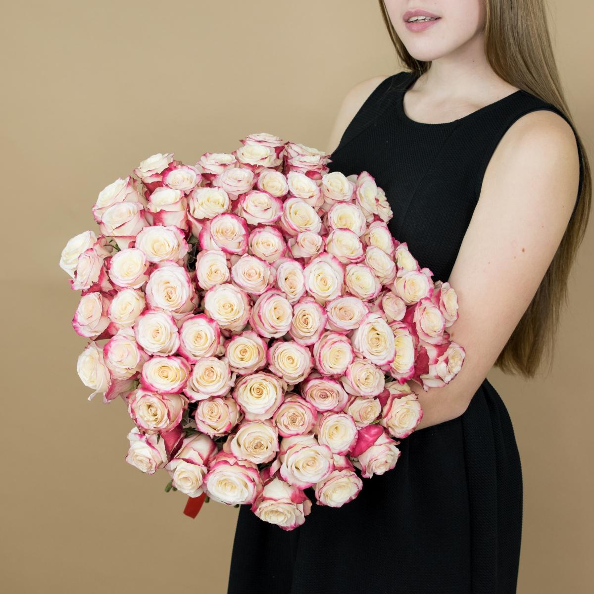 Розы красно-белые (40 см) Эквадор articul - 456
