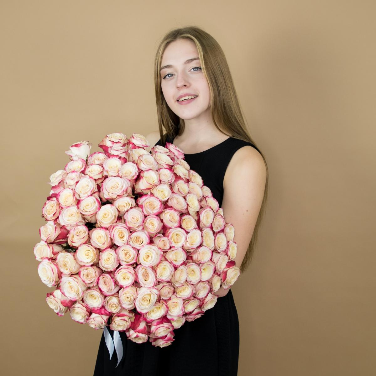 Розы красно-белые 101 шт. (40 см) артикул букета  81168