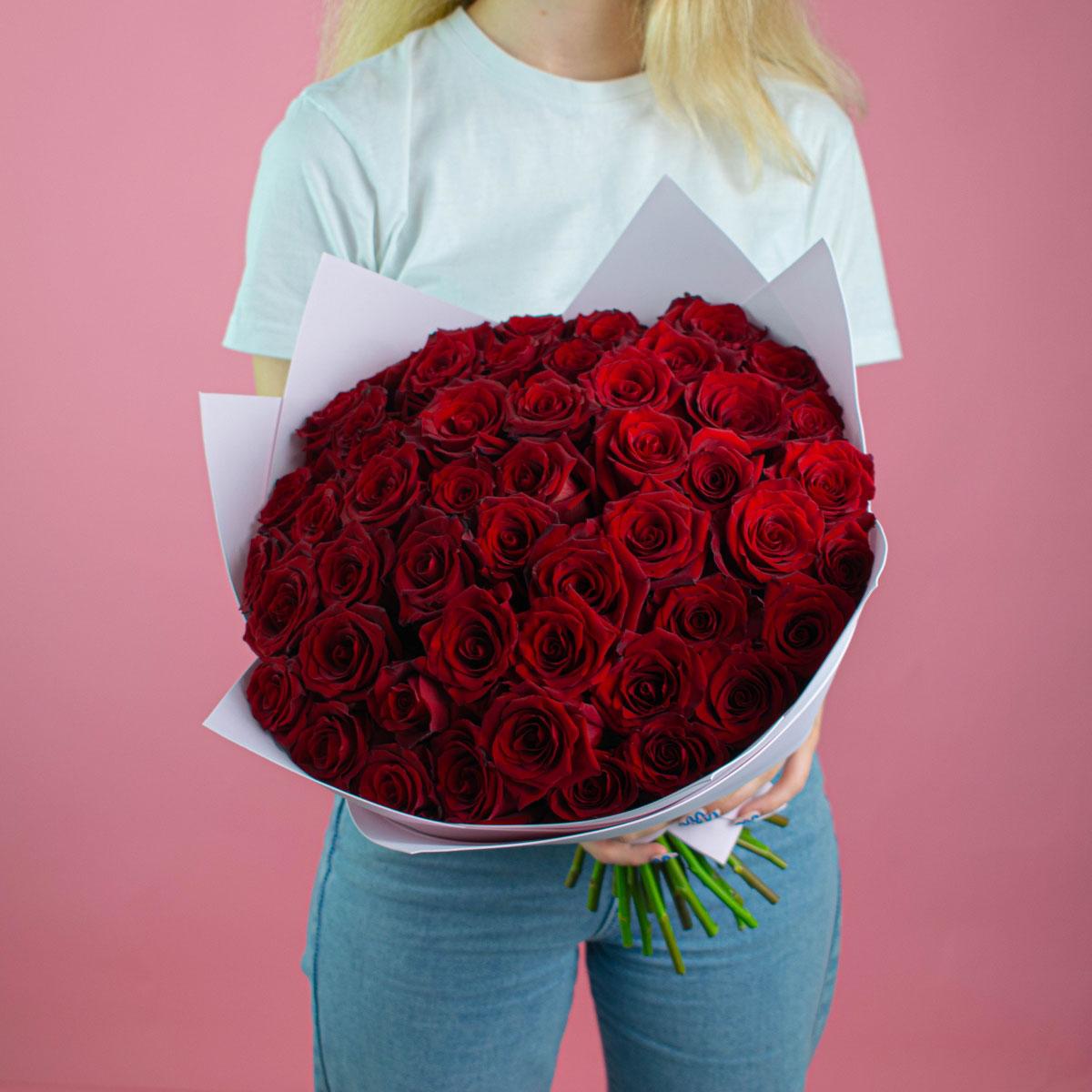 Розы Эквадор 40 см (Красный)