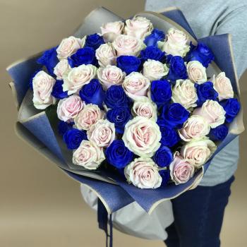 Белая и Синяя Роза 51шт 70см (Эквадор) articul  104272